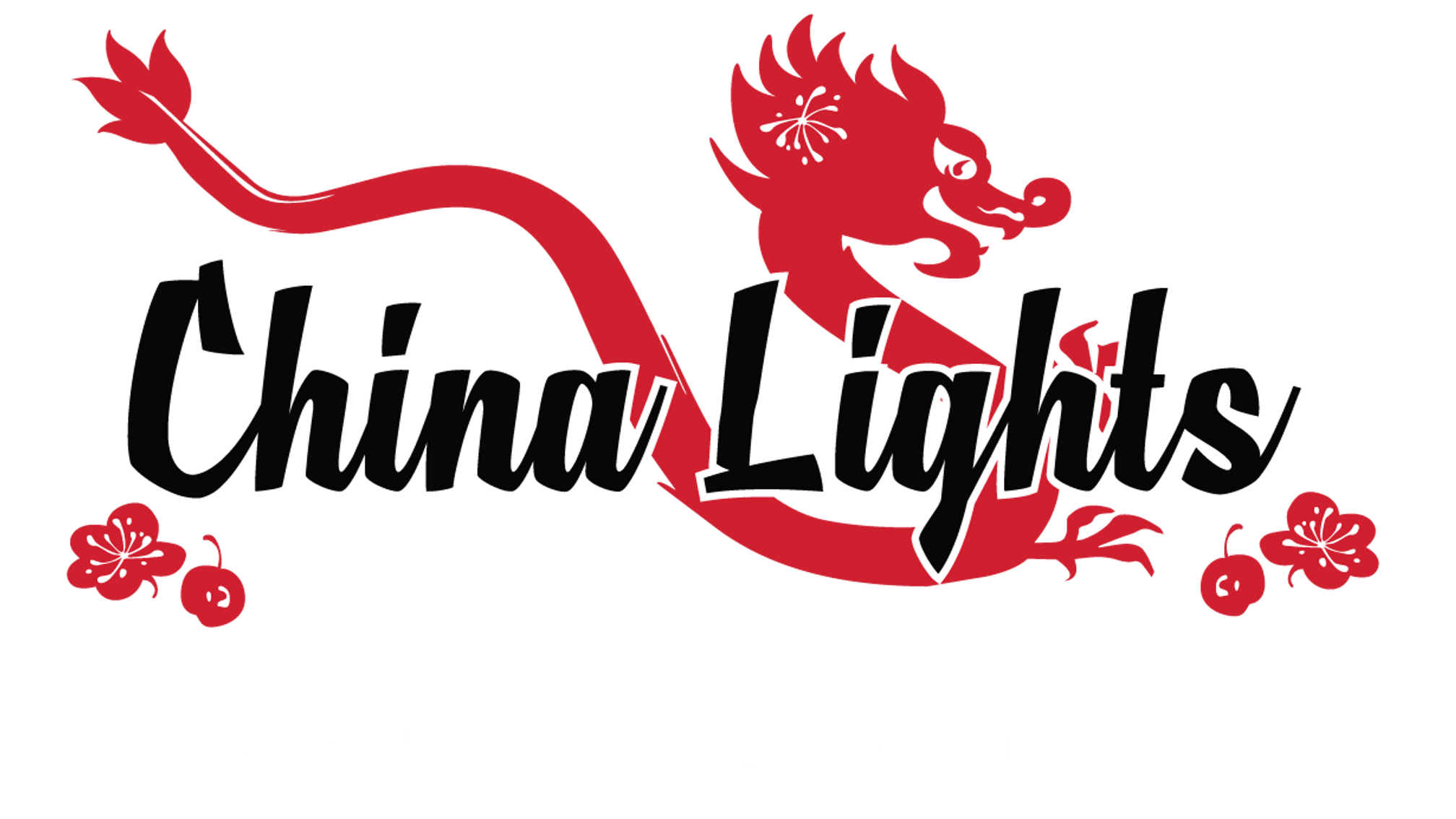 Full Length Promo Video